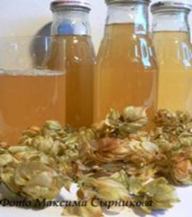 Хмельной мёд