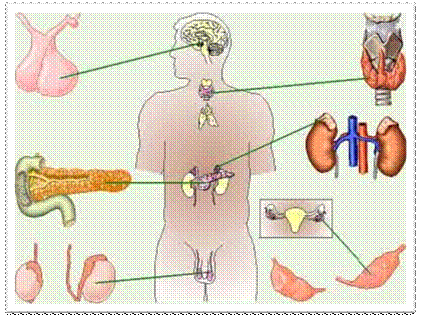 : : C:\Users\admin\Desktop\\  13     .files\image001.jpg