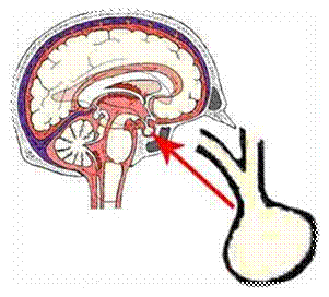 : : C:\Users\admin\Desktop\\  13     .files\image006.jpg