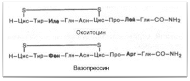 : : : : : : : : : : http://*****/biologhim/bio/img594.jpg