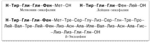 : : : : : : : : : : http://*****/biologhim/bio/img596.jpg