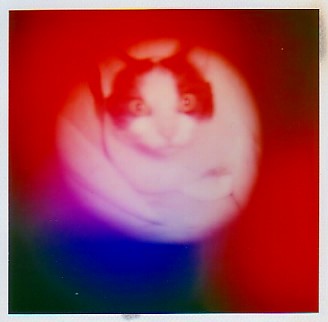 Aura Camera Photograph