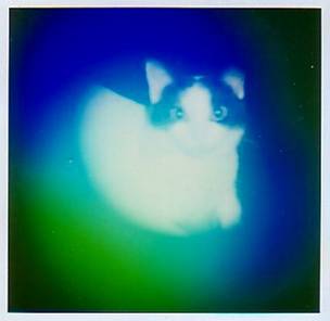 Aura Imaging Photography