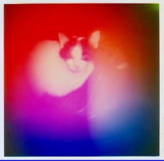 Aura Camera Kirlian Energy Photograph