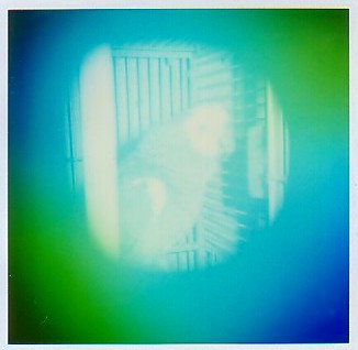 Kirlian Aura Imaging