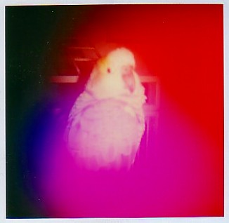 Aura Camera Photograph