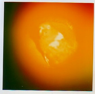 Aura Imaging Photography