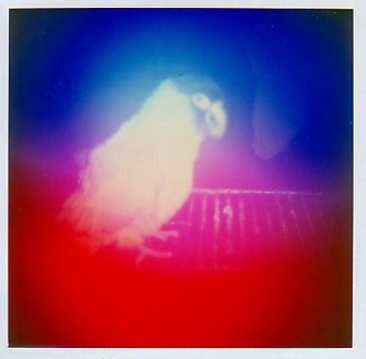 Aura Imaging Camera Photography