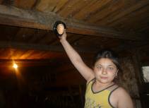 C:\Users\Алешка\Documents\детские проекты\ласточки\фото ласточки\P1000601.JPG