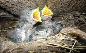 C:\Users\ВалЯ\компетентностно-ориетир\к-п подход\Новая папка\Фото\P1000192.JPG