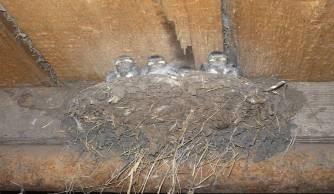 C:\Users\ВалЯ\компетентностно-ориетир\к-п подход\Новая папка\Фото\P1000088.JPG