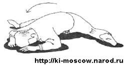 16 -     -   "-.     " 