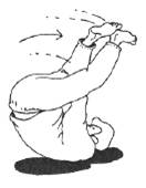 21 -     -   "-.     " 