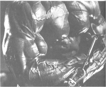 Качество телосложения культуриста заключается в деталях: дельтовидные мышцы, трицепсы, обе головки бицепса, верхние и нижние грудные мышцы, прямые мышцы живота и все остальные мышцы торса развиты полностью (Ронни Колман).