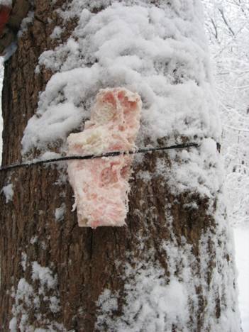 C:\Documents and Settings\Admin\ \  \IMG_4812.JPG