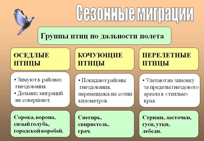 D:\Рабочий стол\Нужное ЗНО\Птицы\0027-027-Sezonnye-migratsii.jpg
