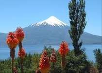 Park Vicente Perez Rosales mini