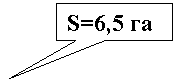  : S=6,5 