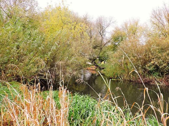 : http://turclub-borisov.by/images/boss/9/contents/gallery/full/15_71.jpg