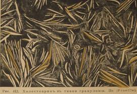 C:\Users\\Desktop\ .jpg