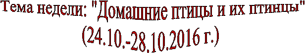   : "    "

(24.10.-28.10.2016 .)