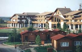 Картинка 1 из 84000